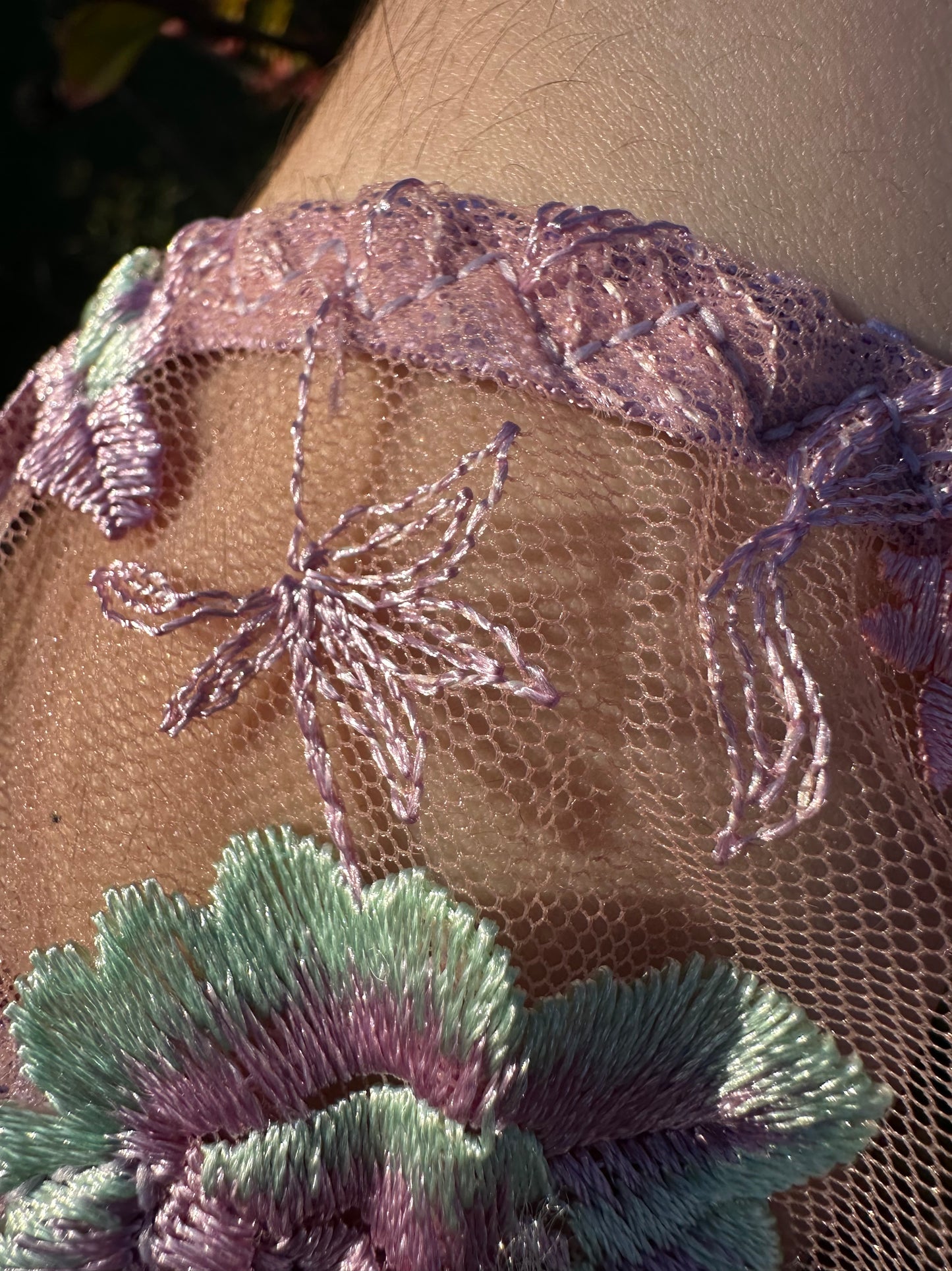 Rosée d'aurore