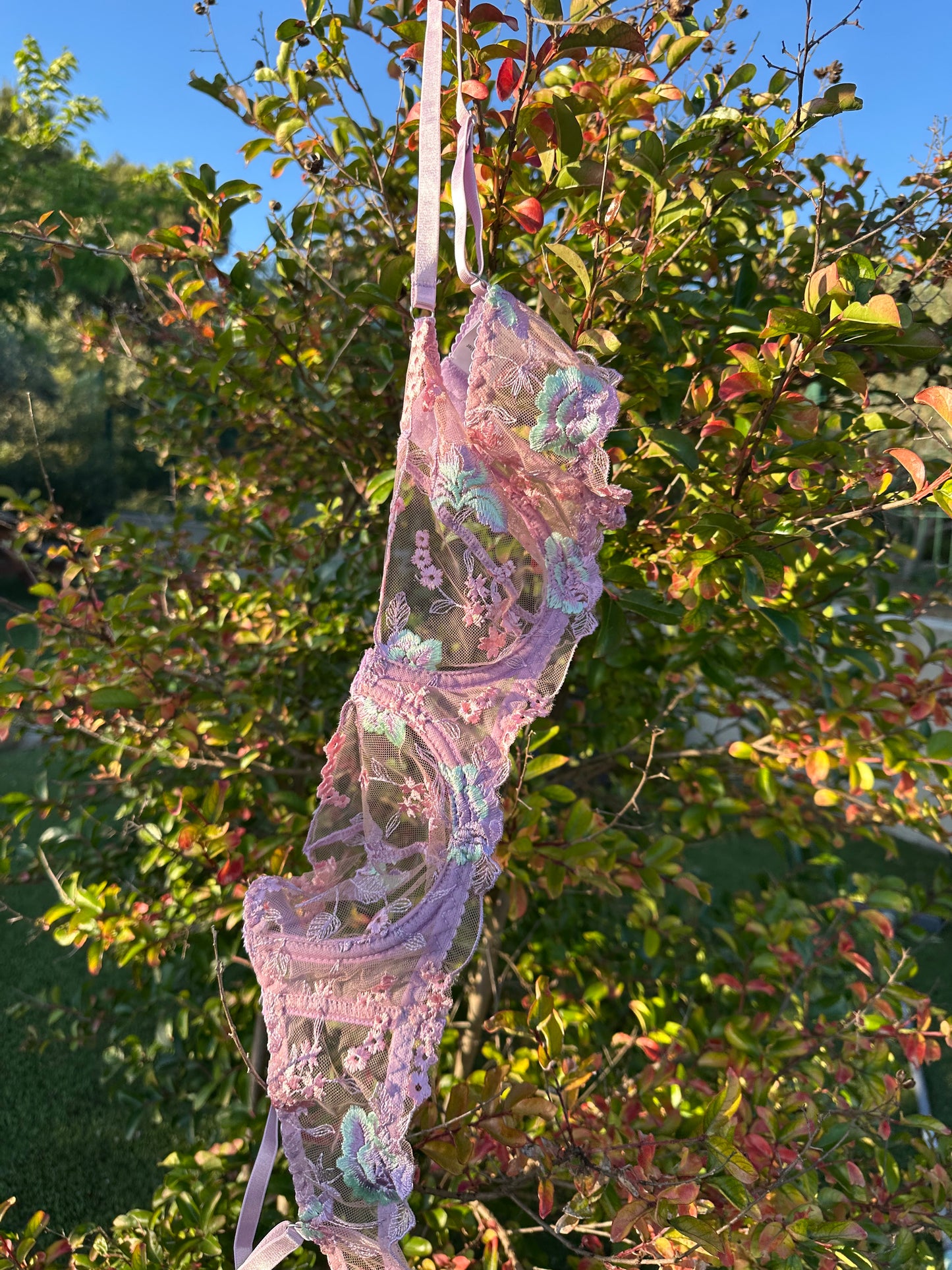 Rosée d'aurore