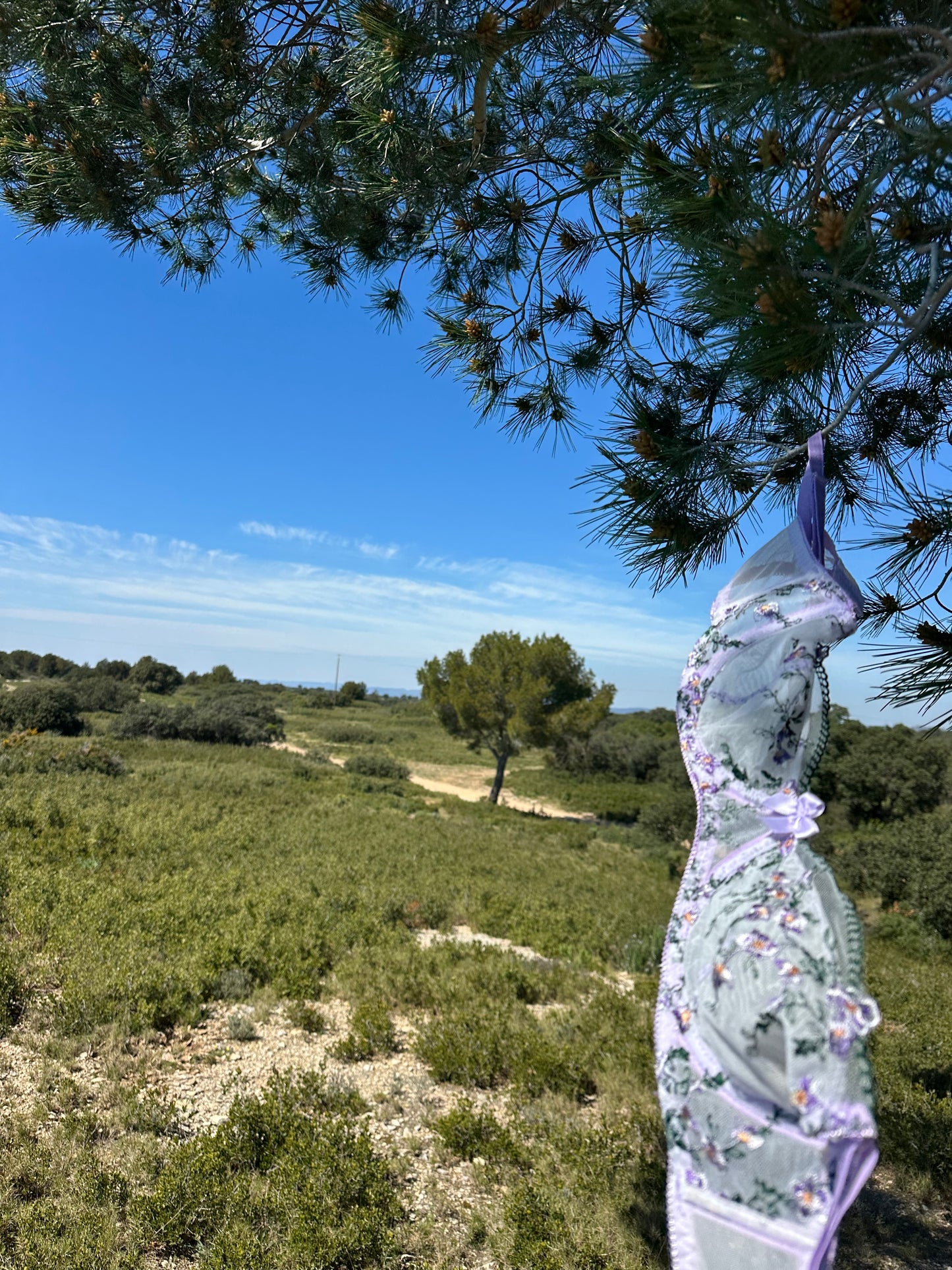 Velours de Mai