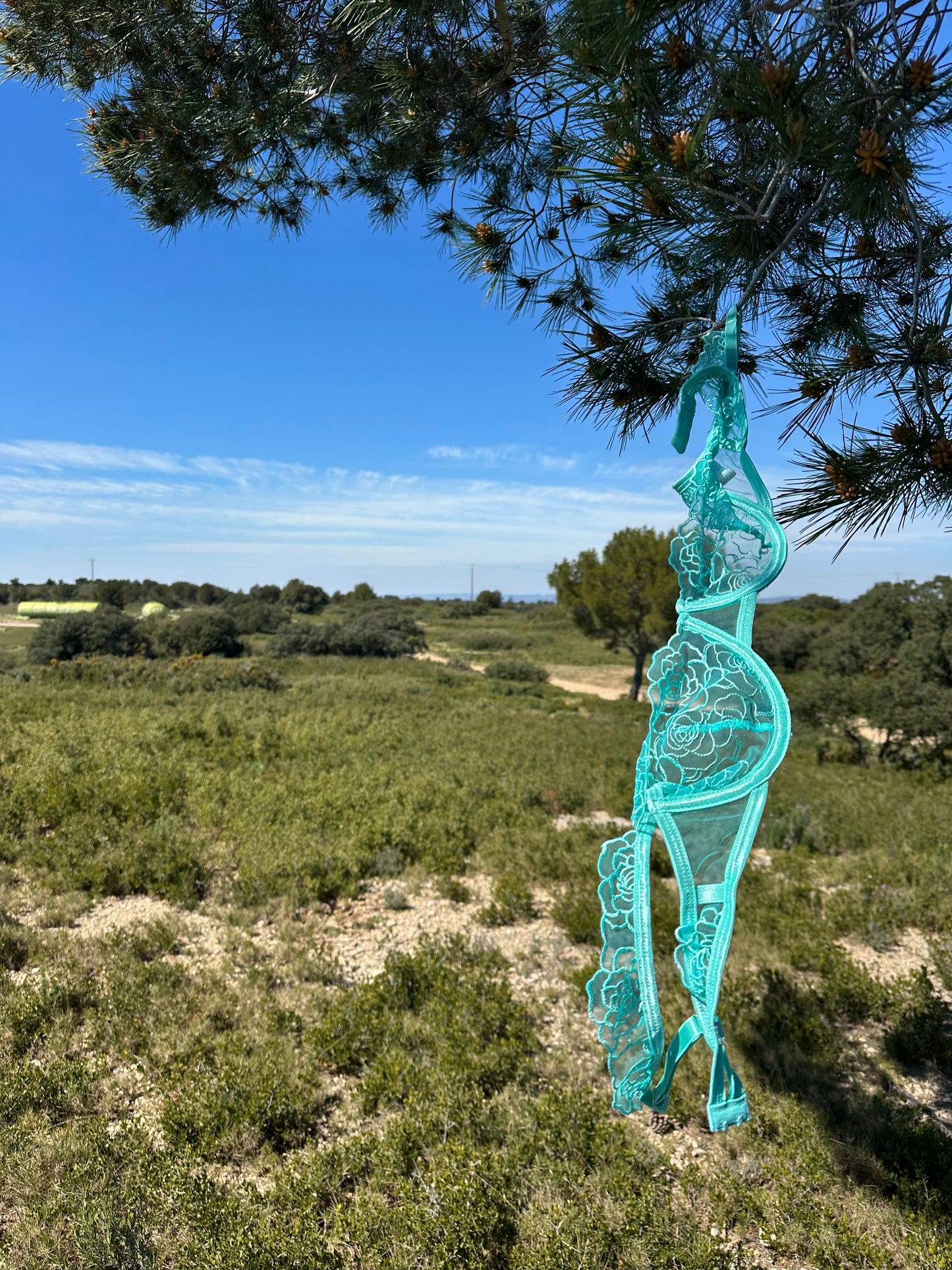Aura florale