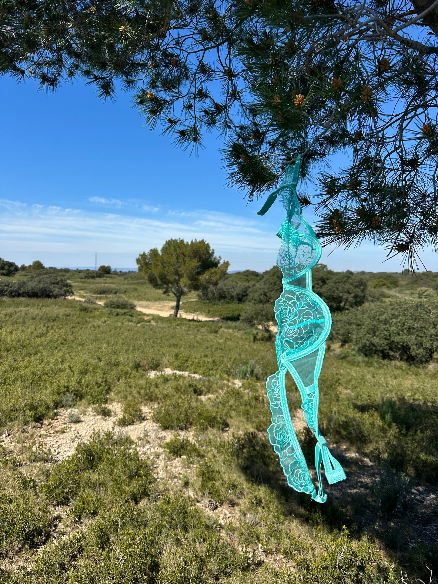 Aura florale